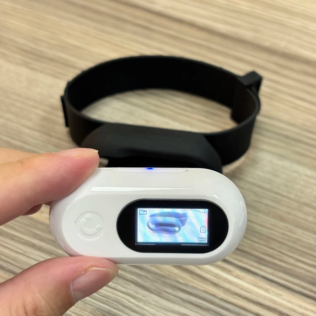 Pet Collar Body Camera w/ 1080P Video Recording